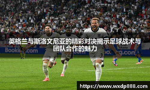 xingkong官方网站